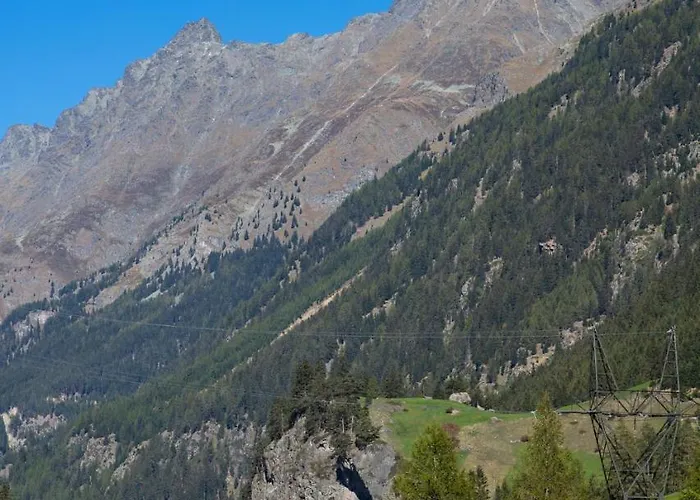 公寓 蒙娜丽莎公寓 *